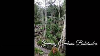 Semedi di Gunung Cendana Baturaden Ban