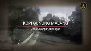 Kopi Gunung Malang Purbalingga Yang Mendunia