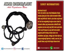Manfaat Akar Bahar Bagi Tubuh