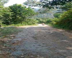 Masyarakat desa Cidikit Keluhkan akses