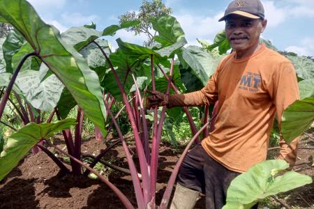 SMP NEGERI 4 KUTASARI MELAKUKAN PE