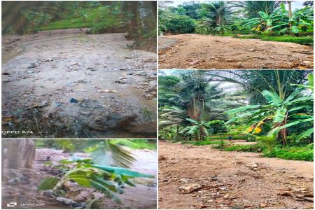 AKTIVIS, TOKOH DAN MASYARAKAT BAYA