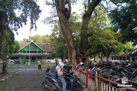 KPH SEMARANG LAKUKAN OPTIMALISASI ASET