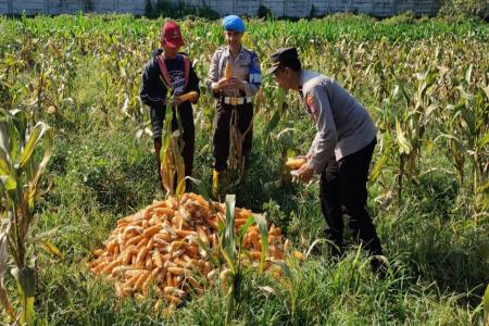 Dukung Ketahanan Pangan Nasional Polre